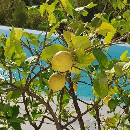 Colonial. Impressive Views Of The Sea. High Design. Renovated. * Sitges