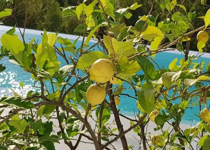 Colonial. Impressive Views Of The Sea. High Design. Renovated. * Sitges